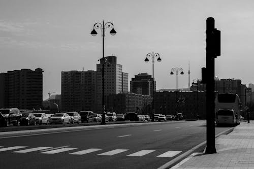 Black and White Photograph of a Pedestrian Lane Near Cars