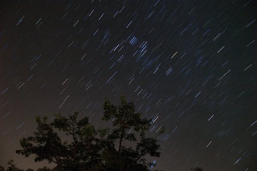 Foto profissional grátis de árvores, astronomia, beleza na natureza