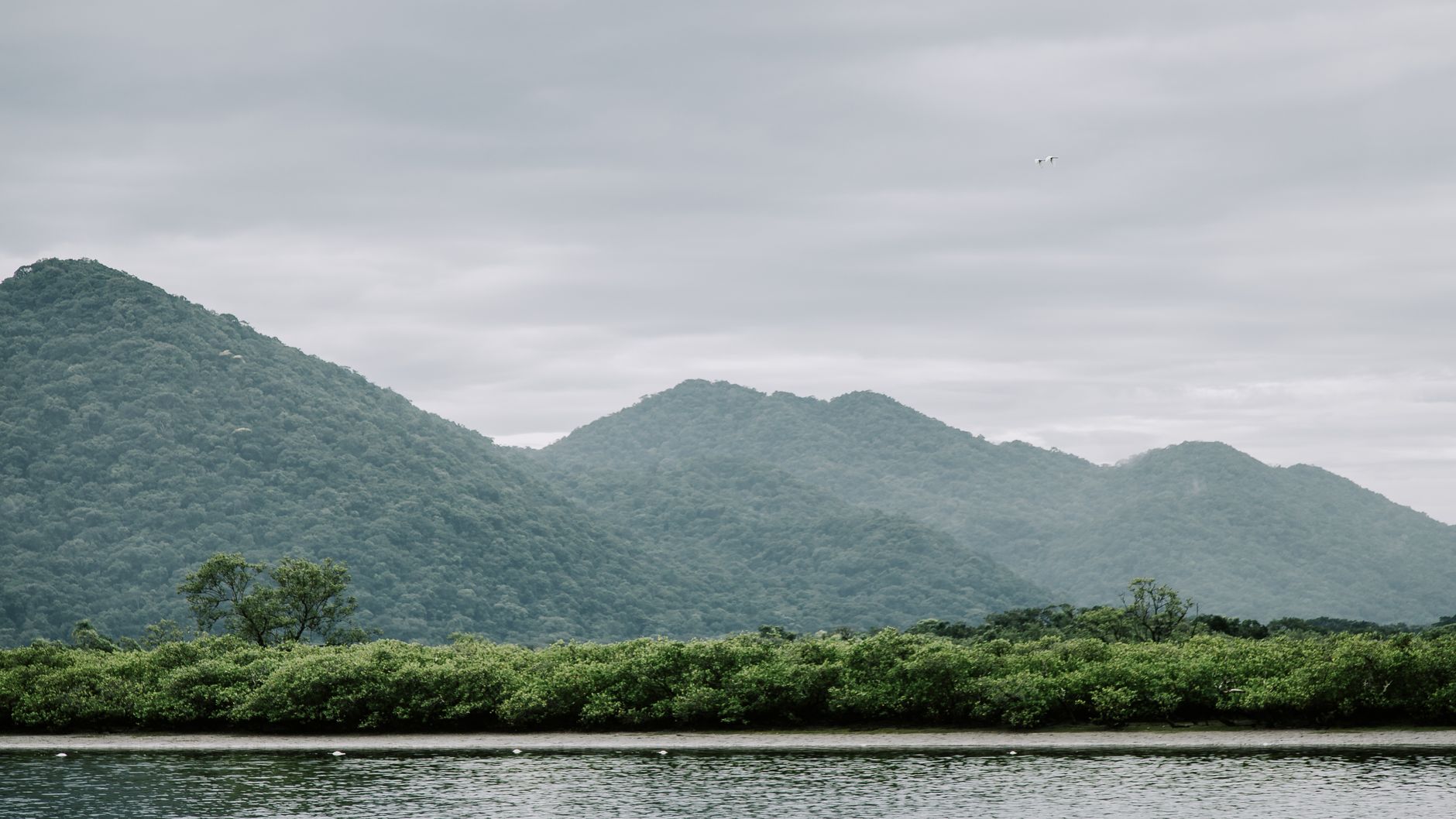Yakushima