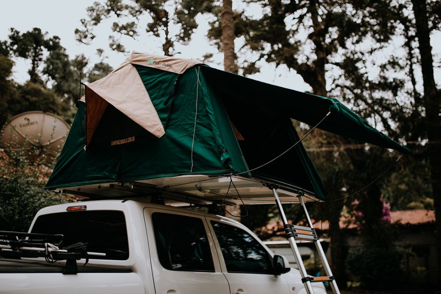 Illustrative dog at an Australian-style camping setup