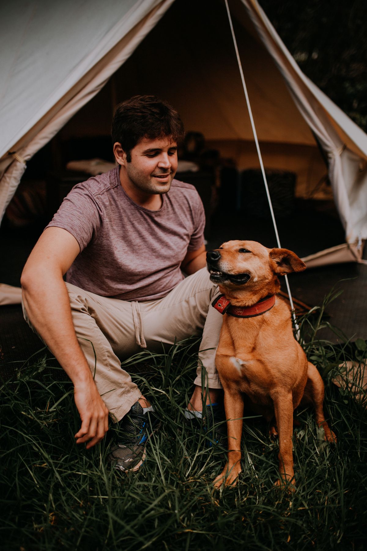 A camper enjoying time with his dog beside a tent; temporary illustrative stock photograph by Matheus Bertelli