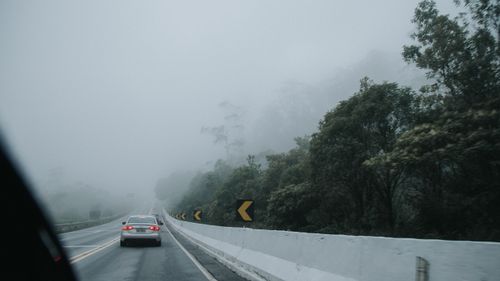 Free Misty road scene with cars navigating through fog and lush green trees. Stock Photo