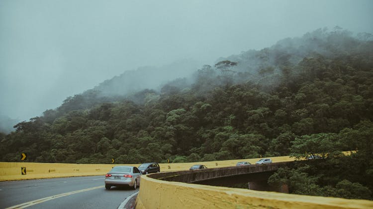 Cars On Road Near Green Trees