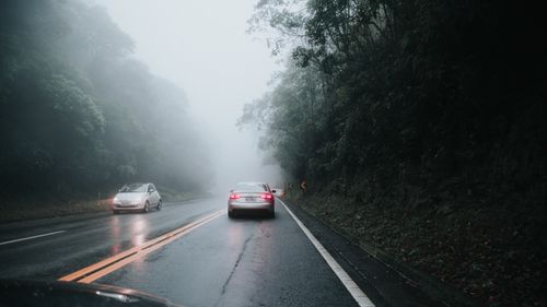 Free Captivating foggy road scene with cars driving through a misty forest during the day. Stock Photo