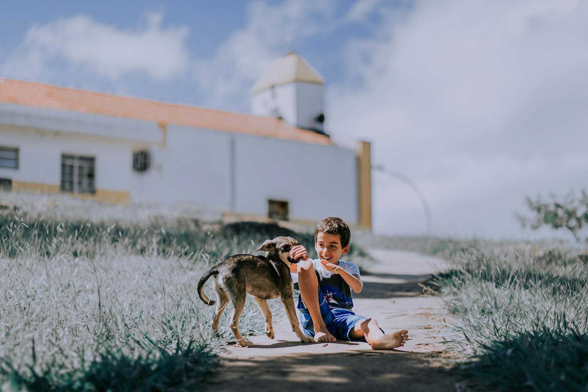 Boy in White and Blue Shirt Sitting on Brown Dirt Road beside Brown Dog