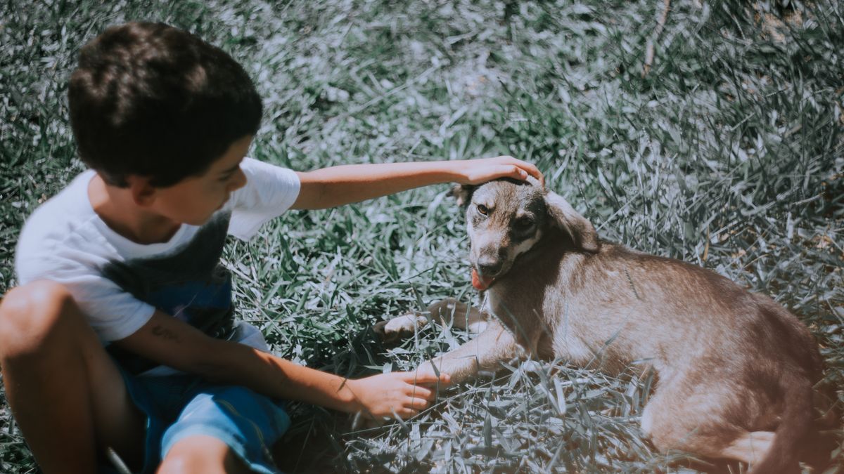 Bien-être animal et lien humain