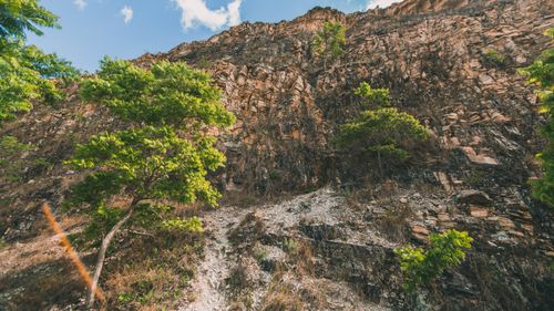 Free A stunning view of a rocky cliff juxtaposed with green trees under a bright blue sky. Stock Photo