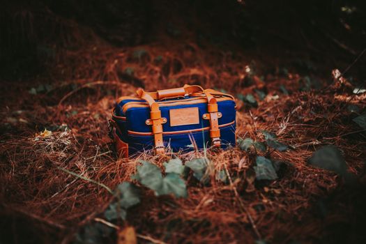 Vintage-style luggage on forest floor, perfect for travel and nature themes.