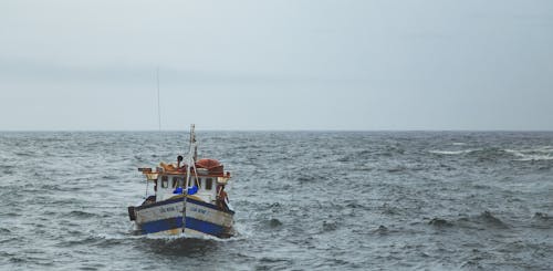 Безкоштовне стокове фото на тему «Водний транспорт, махати, надворі»