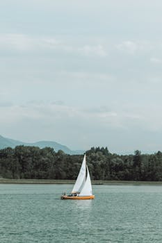 image.mefiz.com