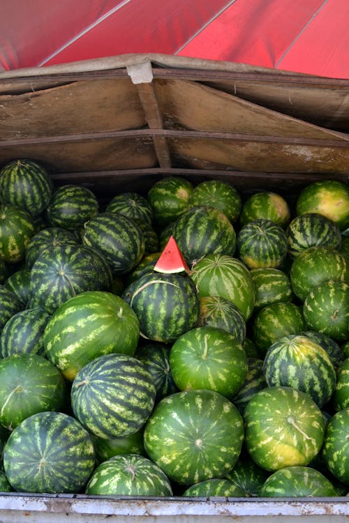 Photograph of Green Watermelons