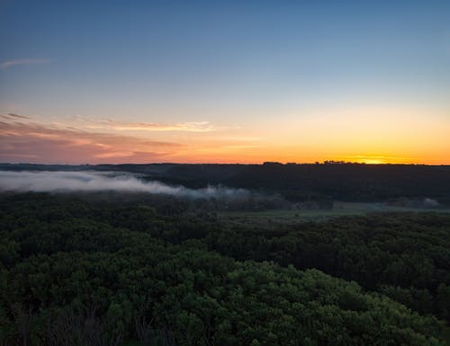 Fotos de stock gratuitas de anochecer, belleza en la naturaleza, bosque