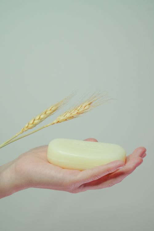 Free A human hand holding a soap bar with two wheat stalks on a light background. Stock Photo