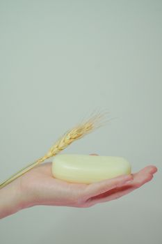 A hand holding a bar of soap with wheat, symbolizing nature and hygiene.