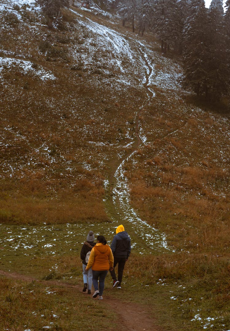 A Group Hiking A Mountain