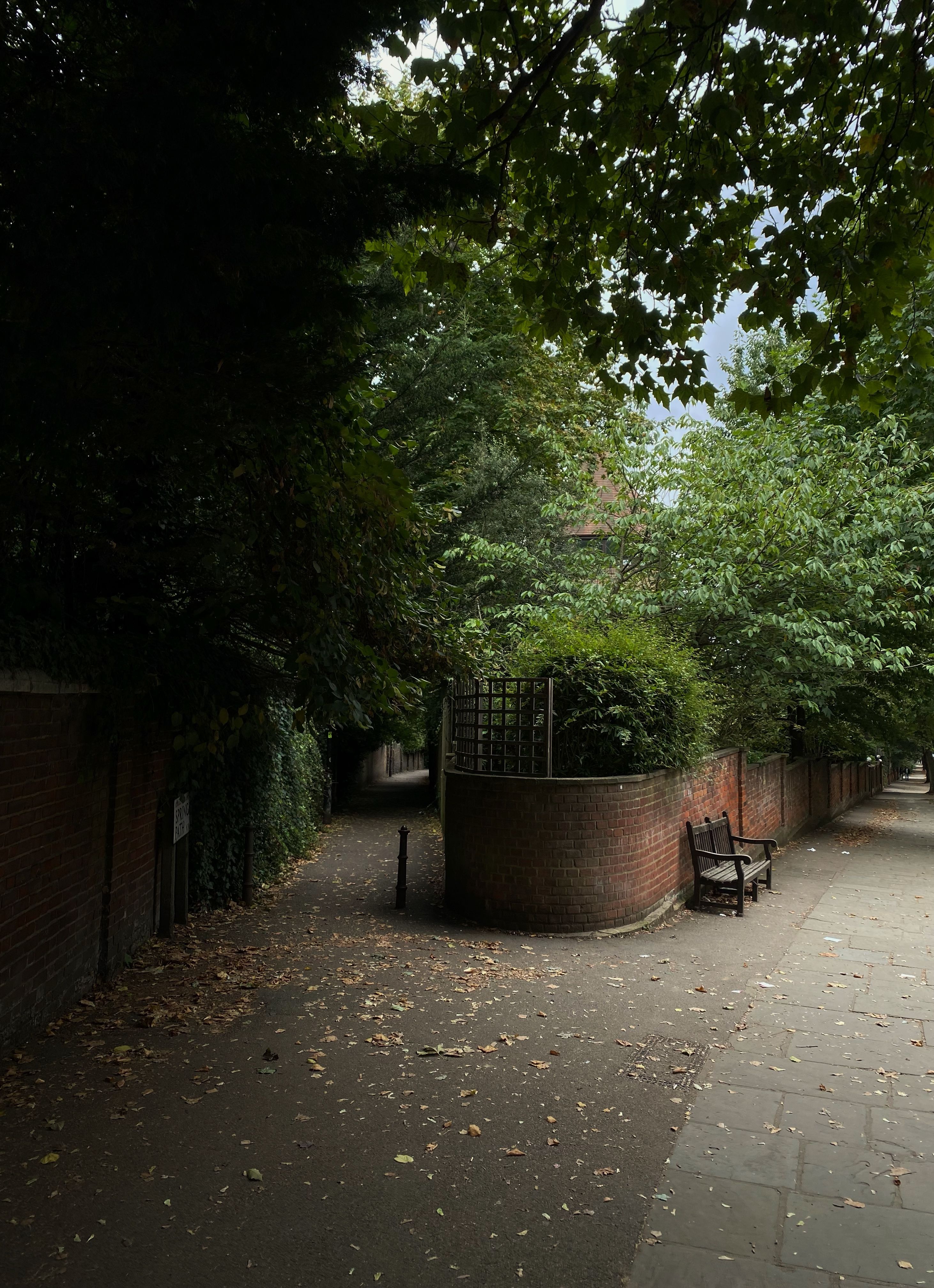 Serene garden path in London, England, showcasing lush greenery and a quiet bench in summer.