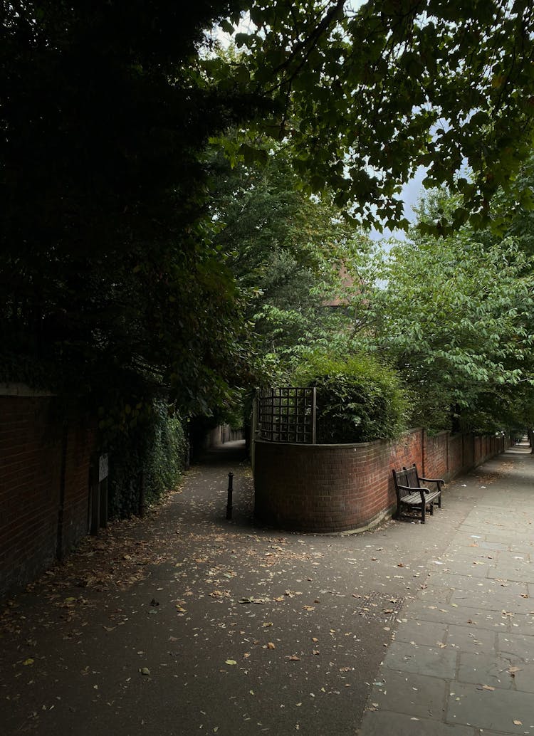 Bench In Park Alley