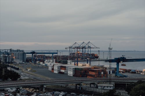 Crane Birds and Containers in City Port