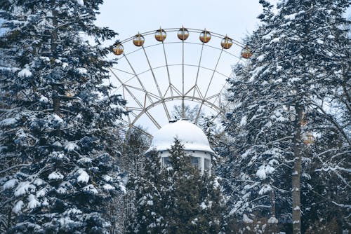 Бесплатное стоковое фото с деревья, зима, колесо обозрения