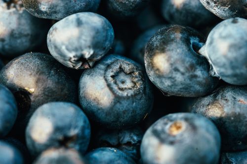 Free A detailed macro shot of fresh blueberries showcasing their natural texture. Stock Photo