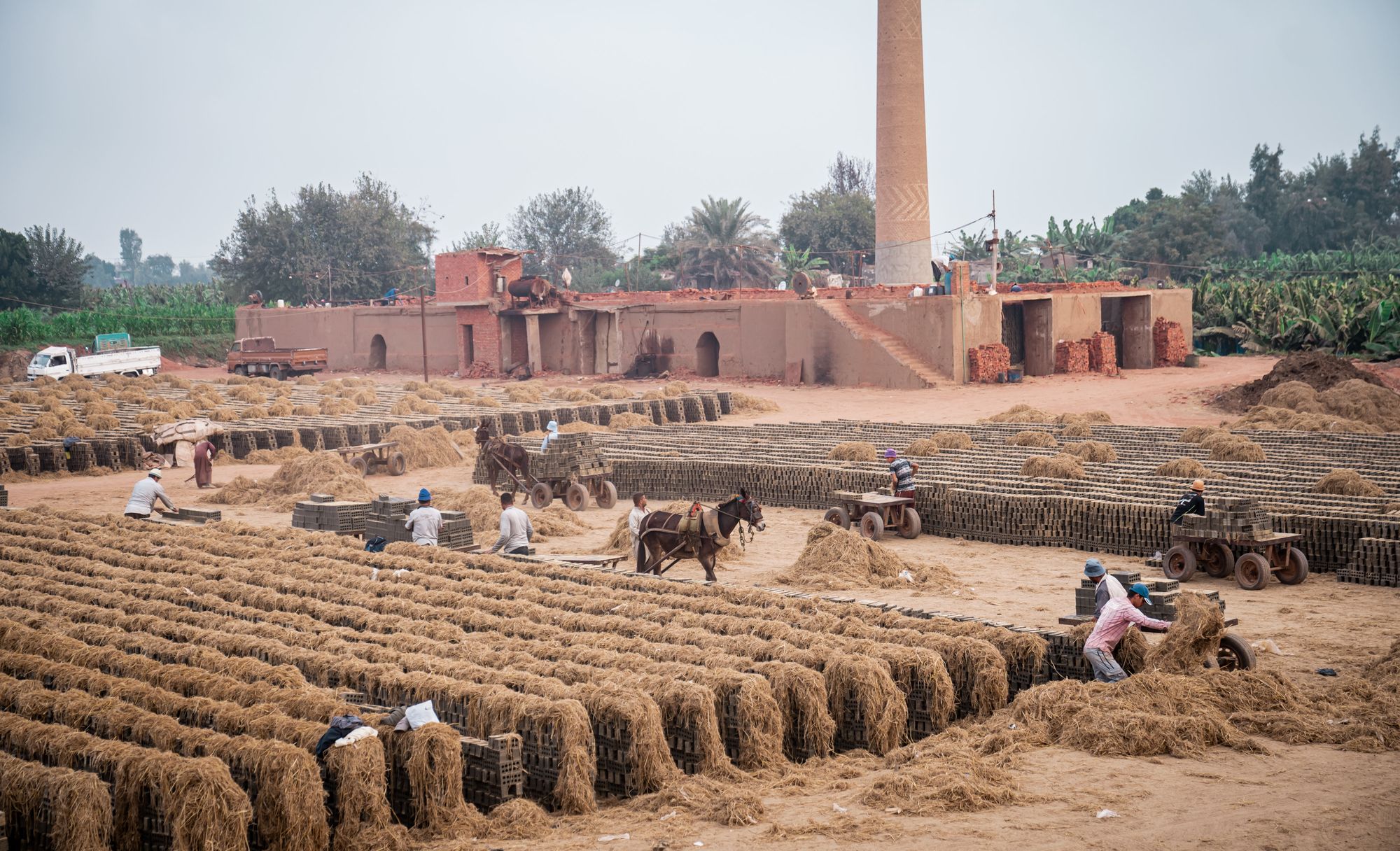 What the shoulder season months of October and November actually mean for heat, crowds and river crossings in Luxor.
