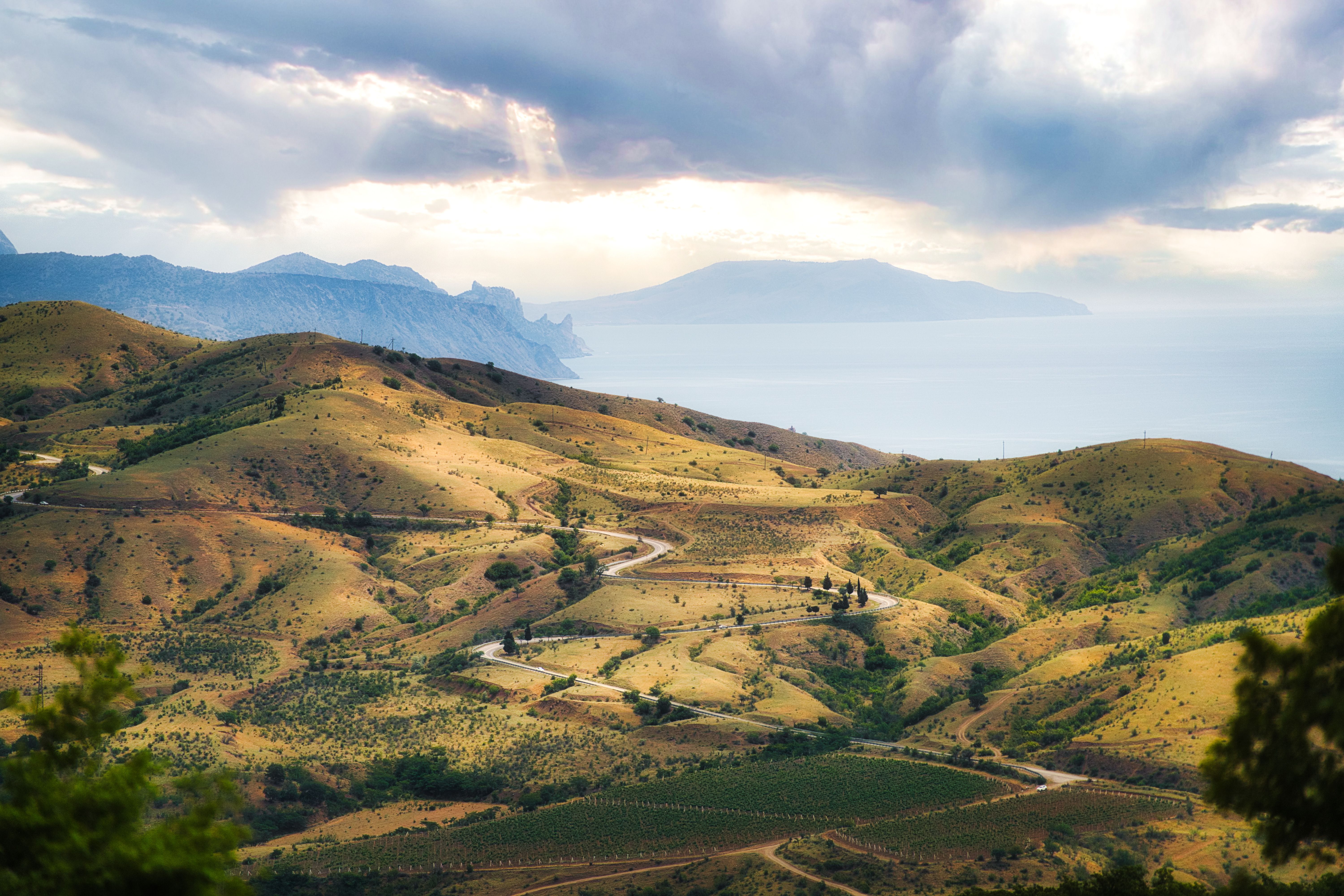 South Korea Travel Organizers - Market Analysis, Forecast, Size, Trends and Insights — Photo by Ivan Larin on Pexels