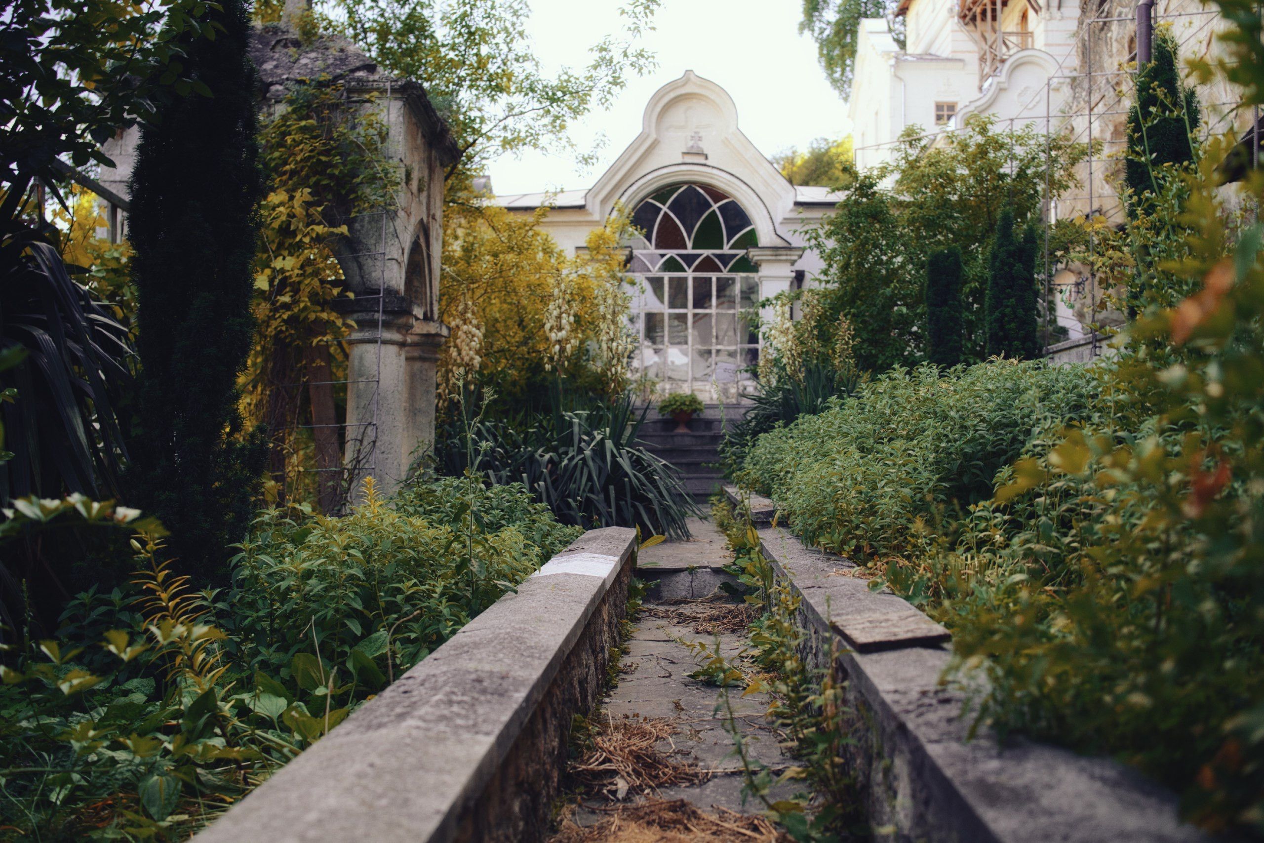 Jardin en friche avant travaux