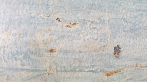 Darmowe zdjęcie z galerii z chropowaty, detale, mur
