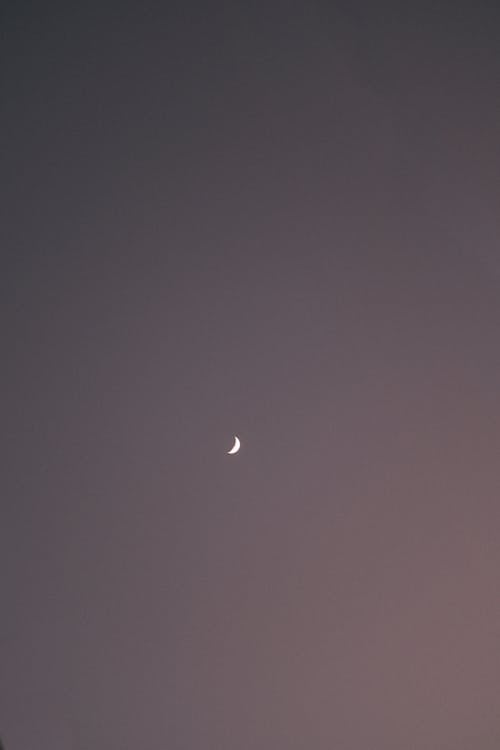Crescent Moon in the Sky