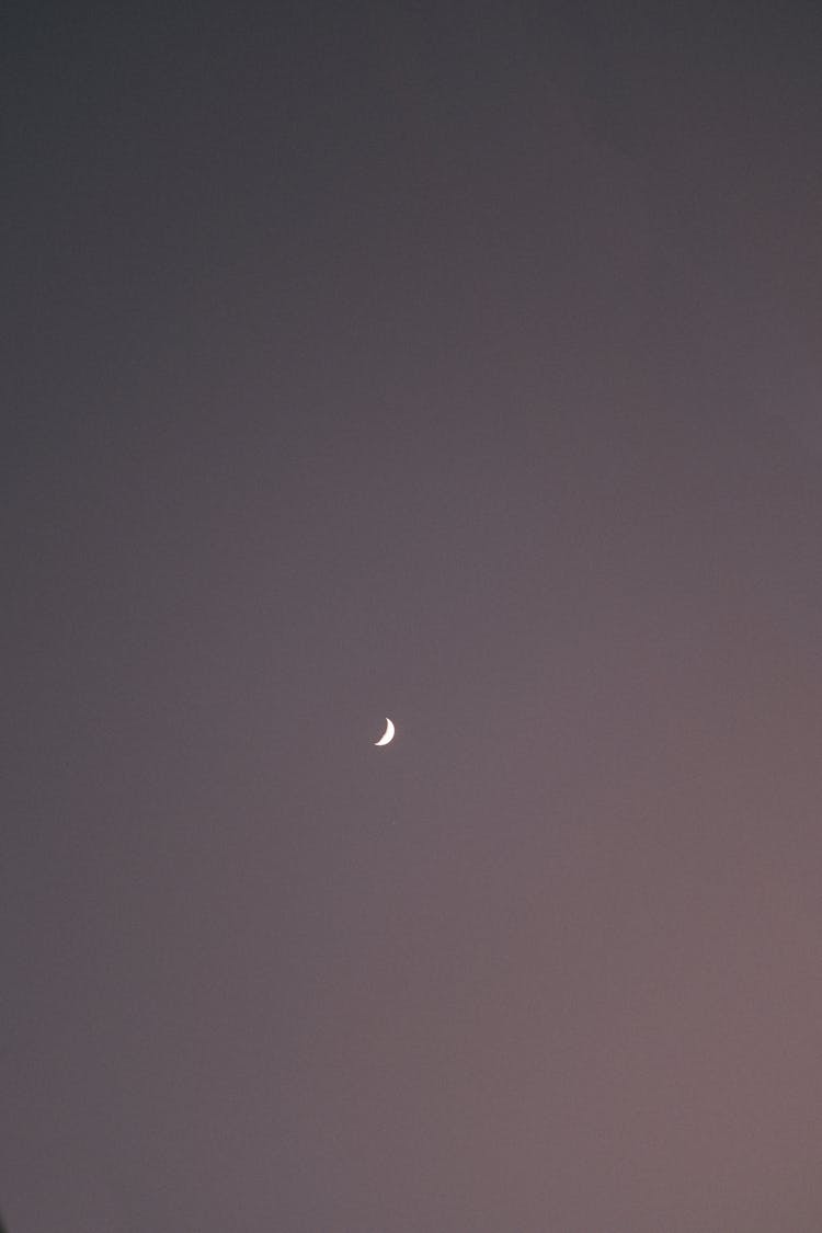 Crescent Moon In The Sky