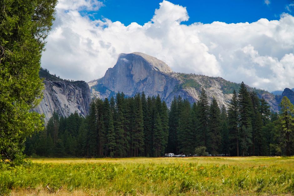 Yosemite National Park