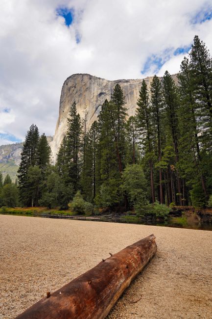 Granite cliffs and pine trees around a Yosemite Valley campground