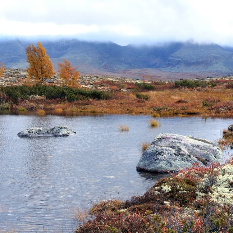 Rock Boulders In The River 