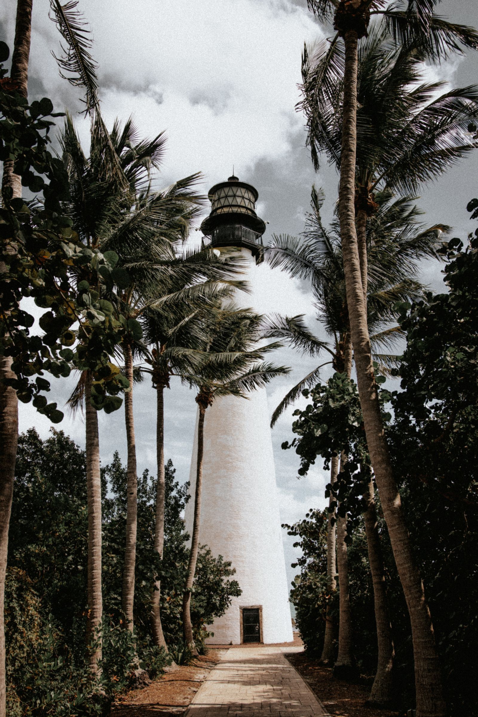 Walkway between palm trees near Cape Florida Lighthouse