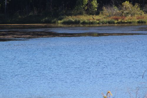 Free Autumn Lake Stock Photo