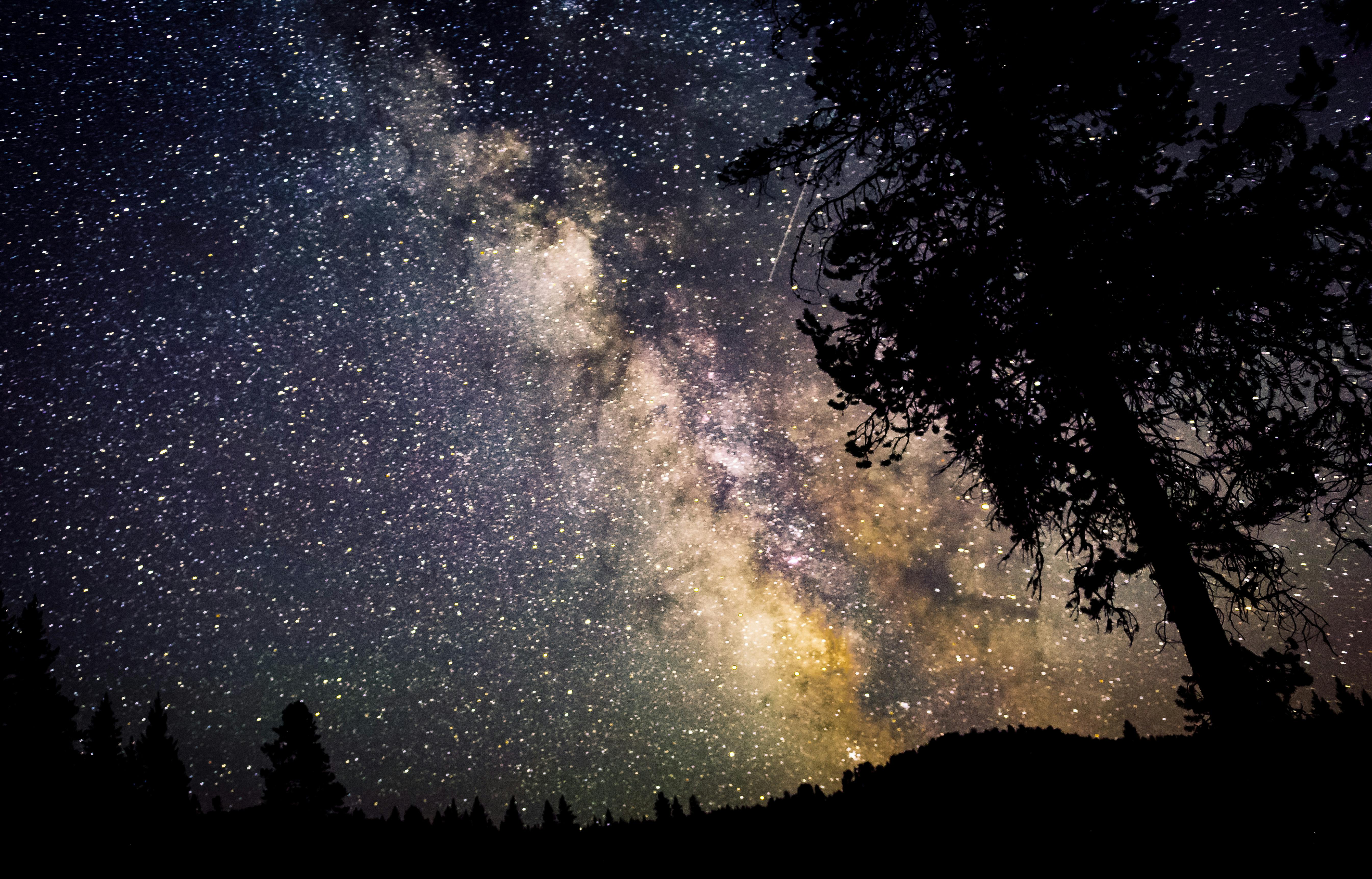 A stunning night sky view showcasing the vibrant and detailed Milky Way galaxy with silhouetted trees.