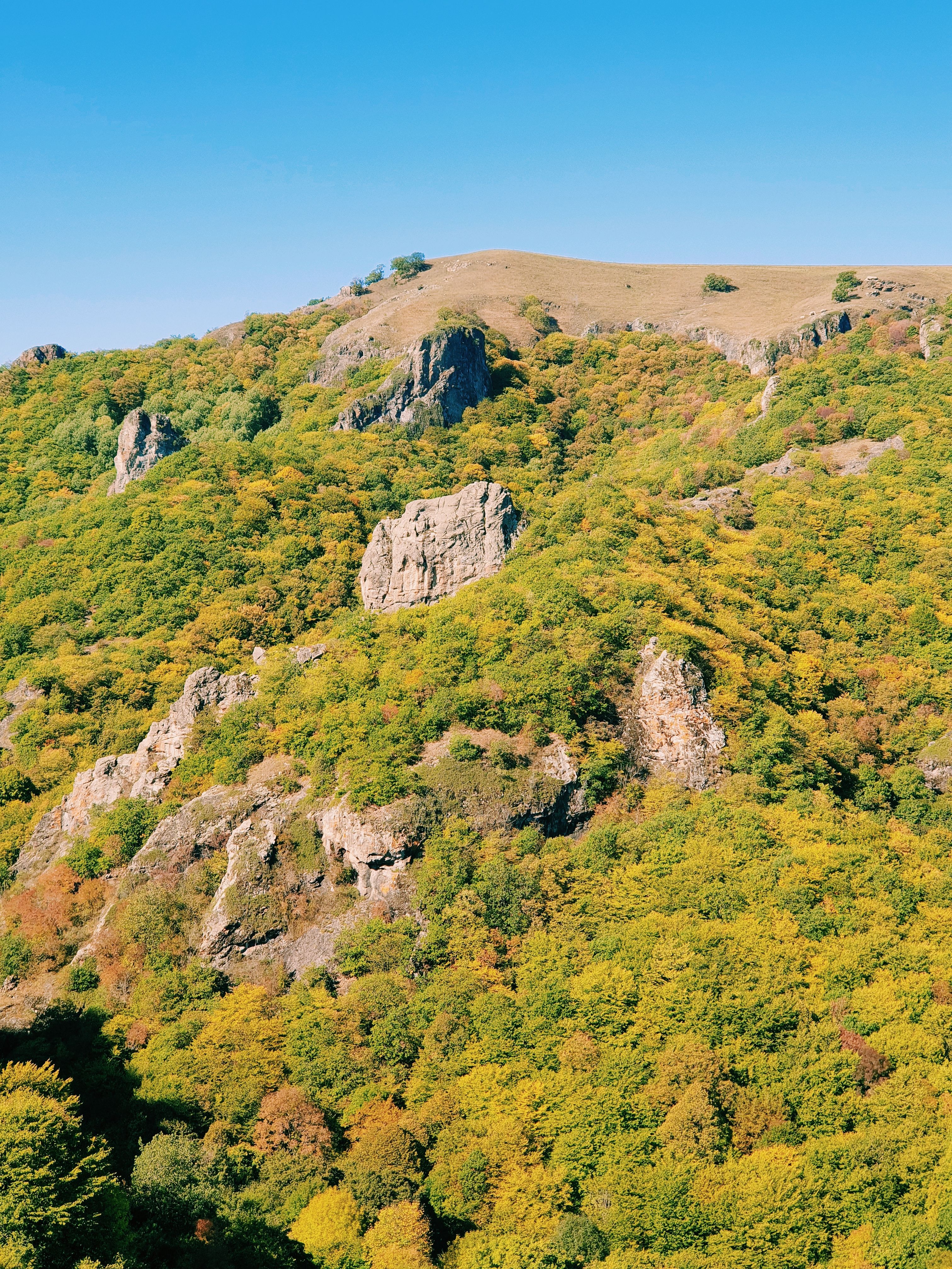 A Green Trees on Mountain Under the Blue Sky · Free Stock Photo