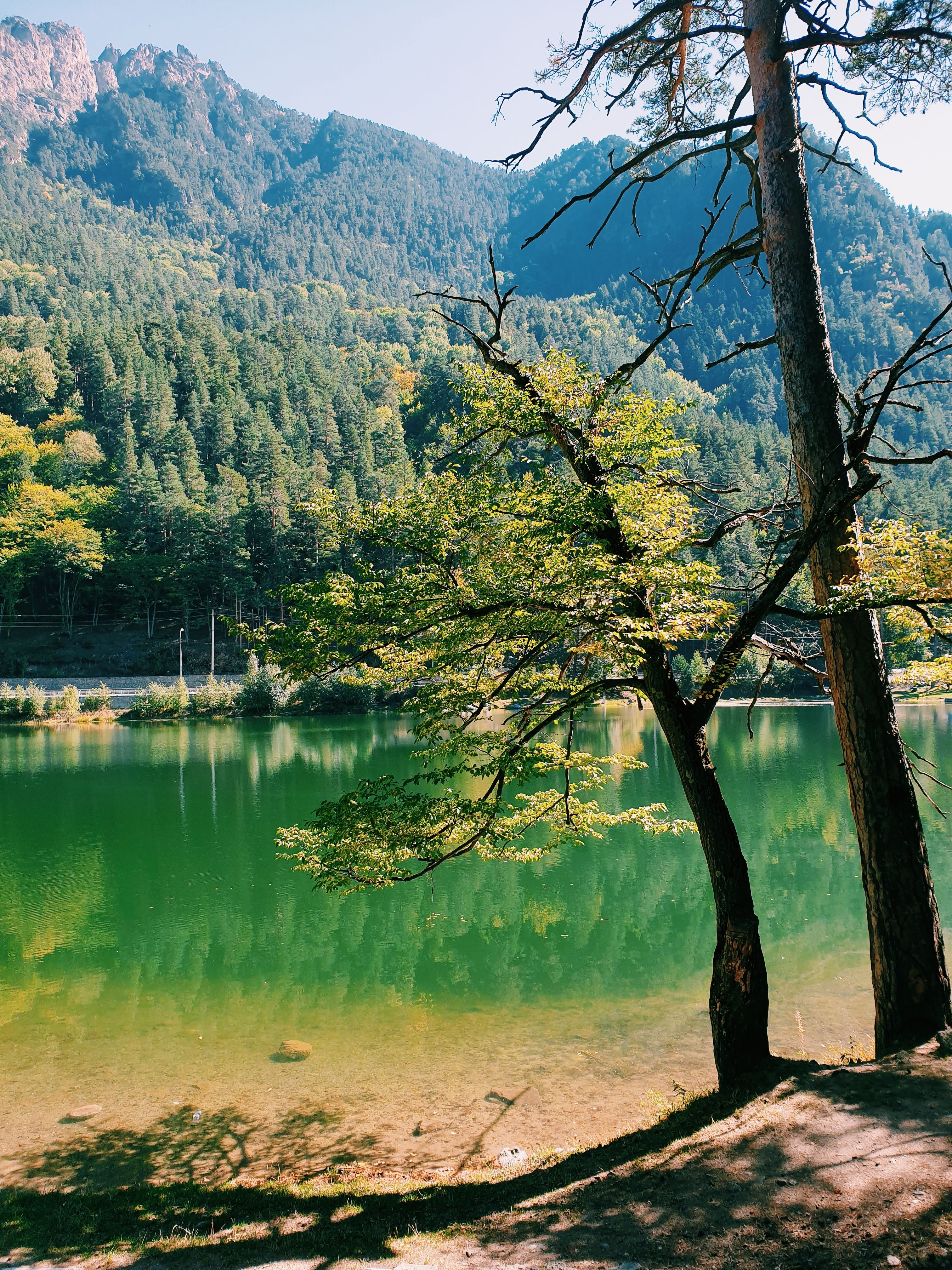 Lagos de Covadonga (Enol y Ercina)