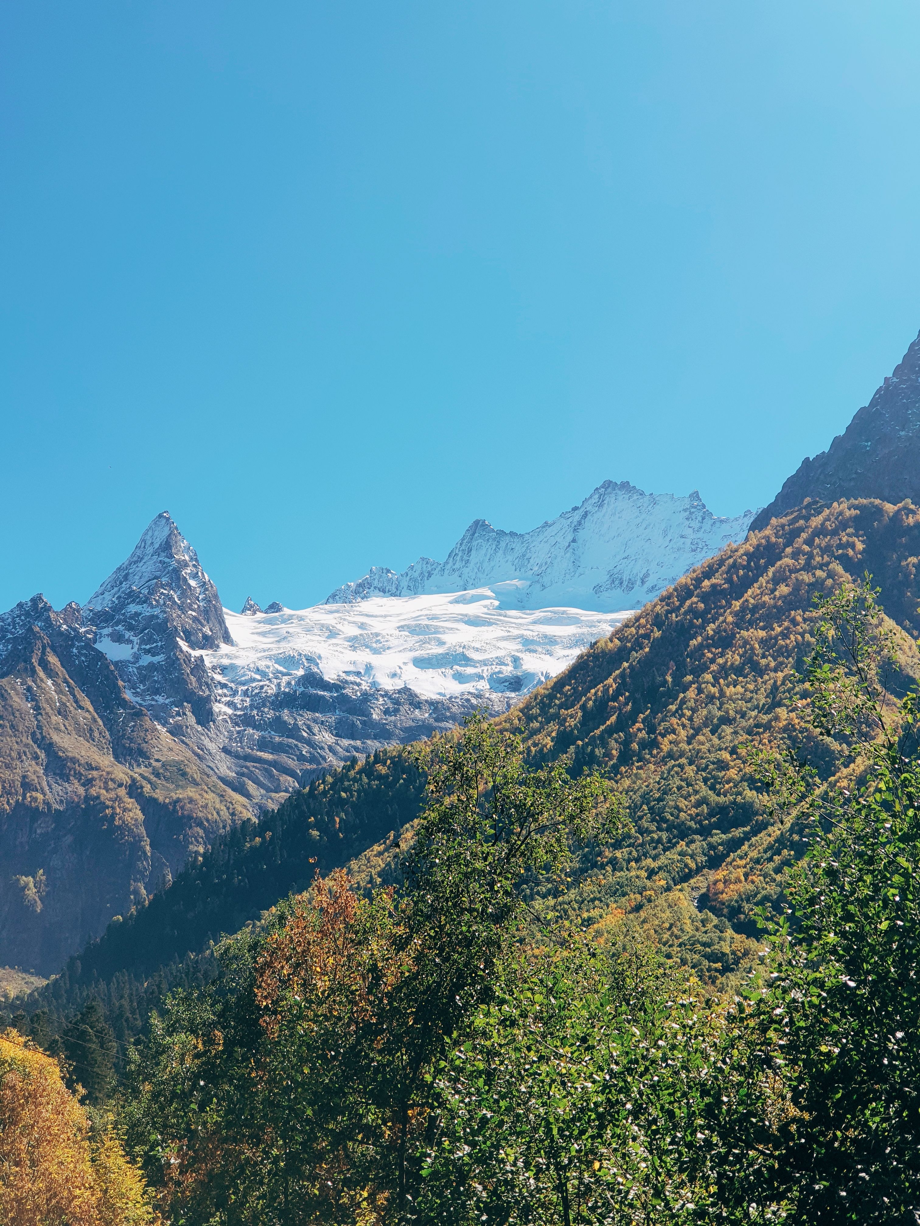 A Green Trees and Snow Covered Mountains Under the Blue Sky · Free ...