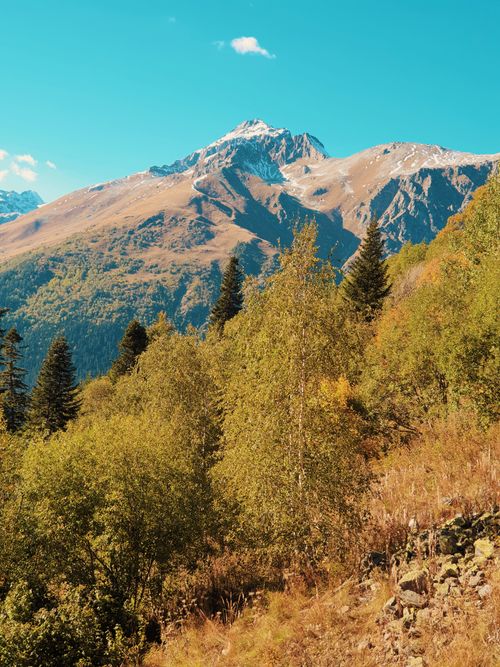 Free Breathtaking mountain scenery with vibrant green trees under a clear blue sky. Stock Photo