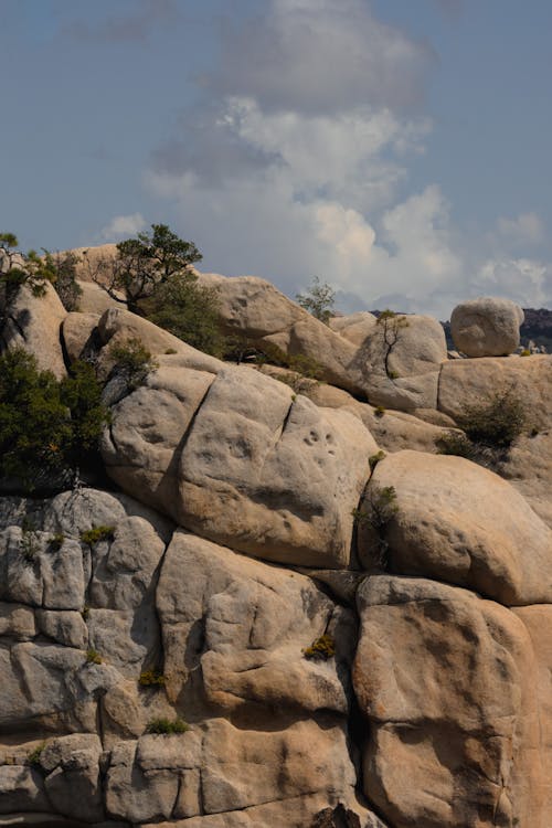 垂直ショット, 大きな岩, 岩石の無料の写真素材