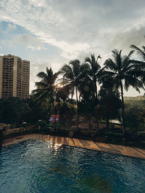 Free Scenic view of a resort pool surrounded by palm trees and buildings during a stunning sunset. Stock Photo