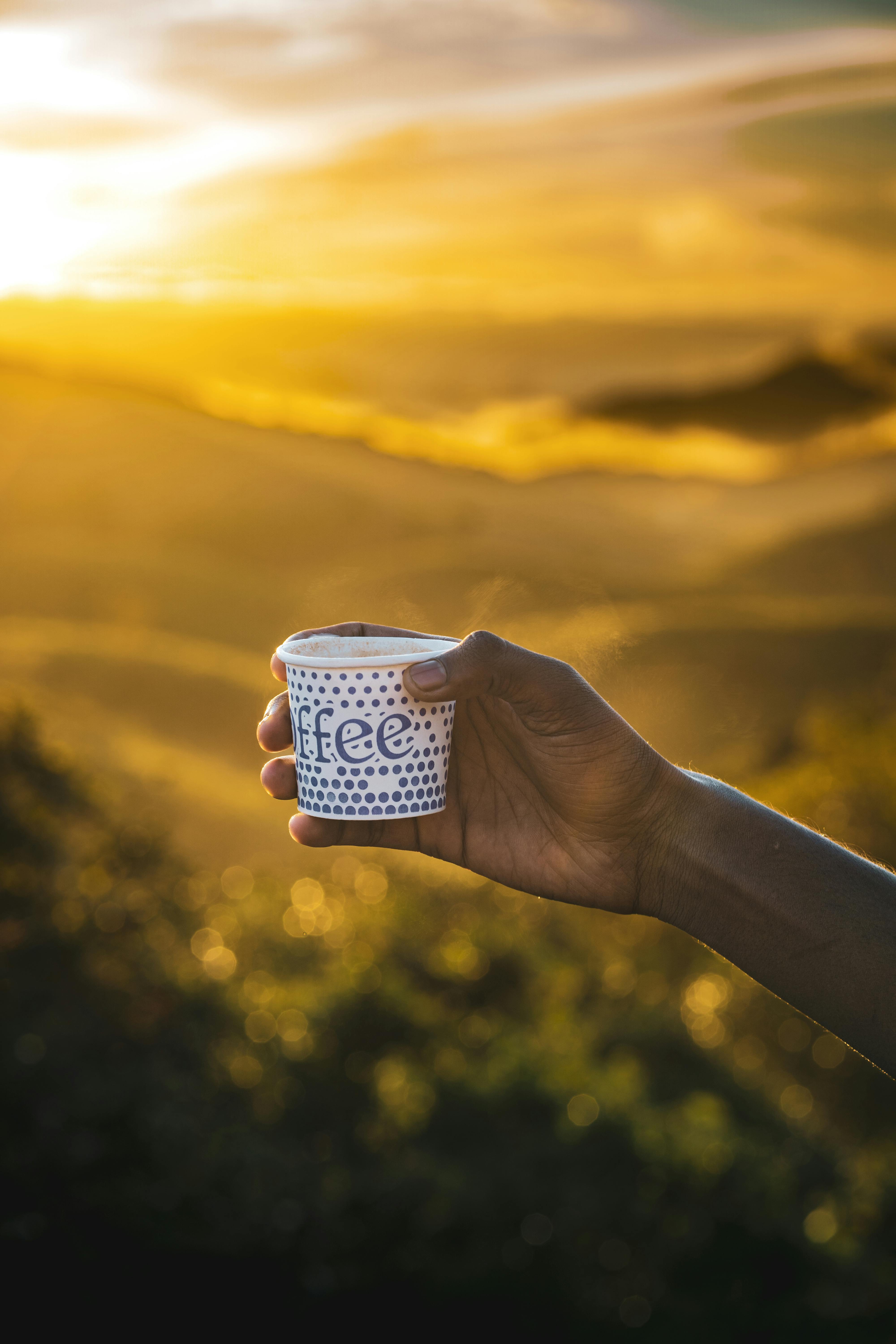Person Holding a Paper Cup · Free Stock Photo