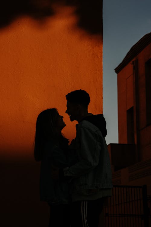 Silhouette of Man and Woman Standing Face to Face During Sunset