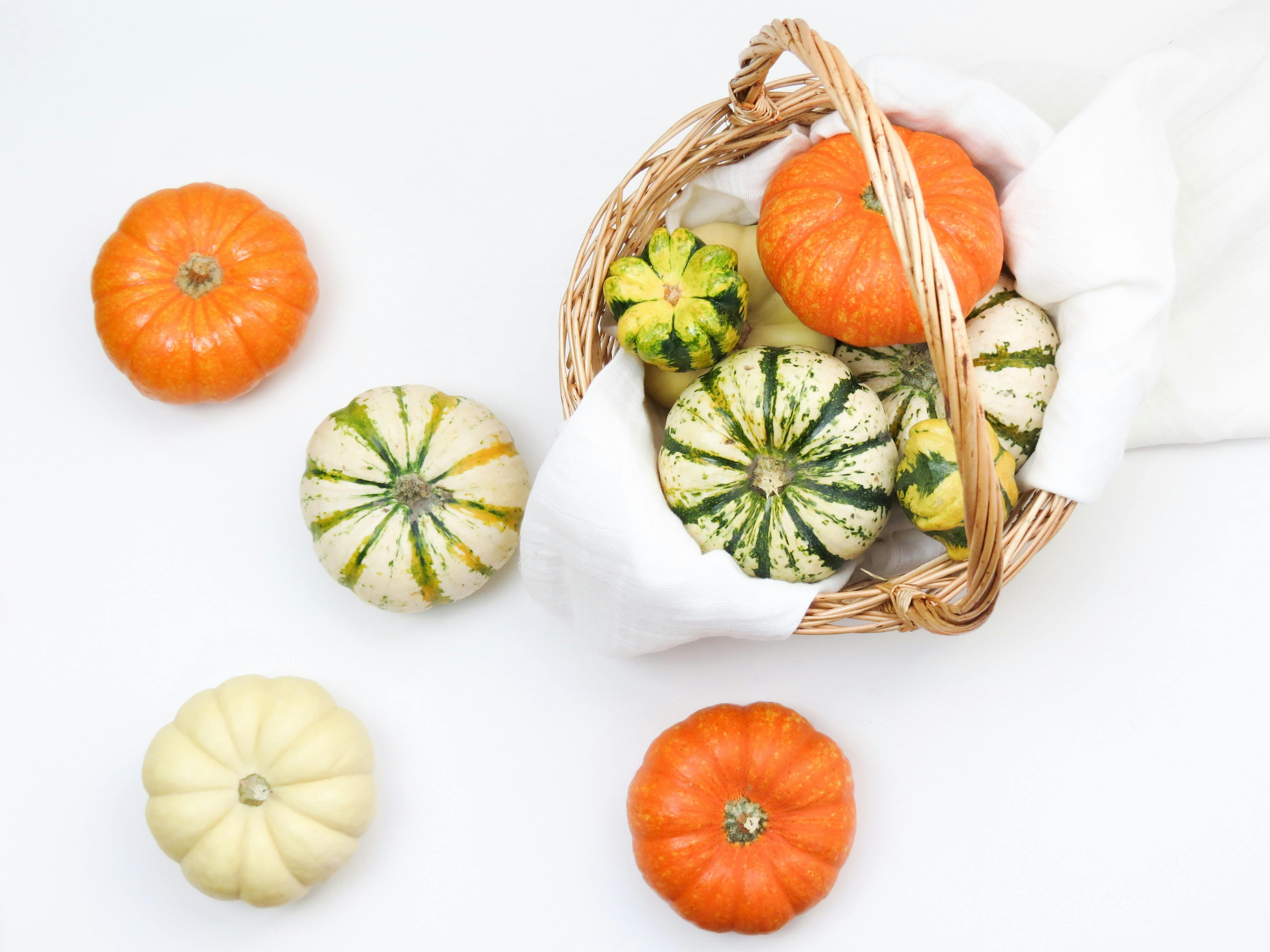 7 Best Hobby Lobby Fall Craft Finds Flying Off Shelves Right Now — Photo by Miesha Renae Maiden on Pexels