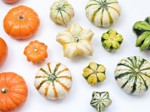 新鮮蔬菜, 秋天的背景, 秋季 的 免費圖庫相片
