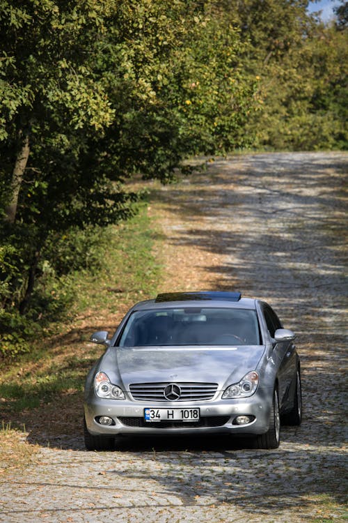 Photos gratuites de arbres verts, automobile, chaussée