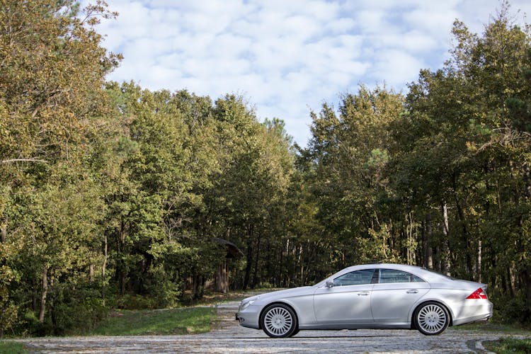 Sedan Car On Road Near Green Forest