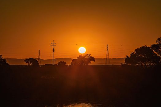 A vibrant sunset with silhouettes of trees and power lines, creating a stunning visual contrast.