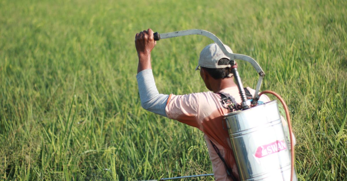 How are drones and robotics changing crop monitoring and spraying? How are drones and robotics changing crop monitoring and spraying?